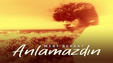 Mert Berkay- Anlamazdın